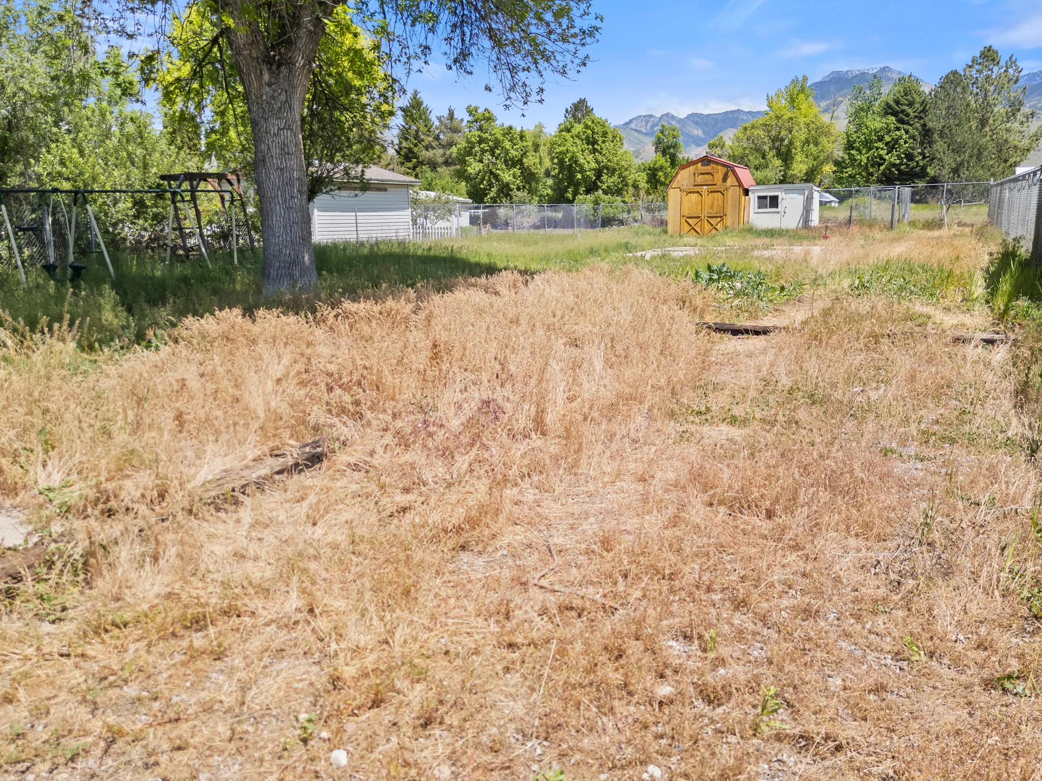 Expansive yard space featuring a mature tree, white shed/chicken coop, and mountain scenery in the background looking to the east.