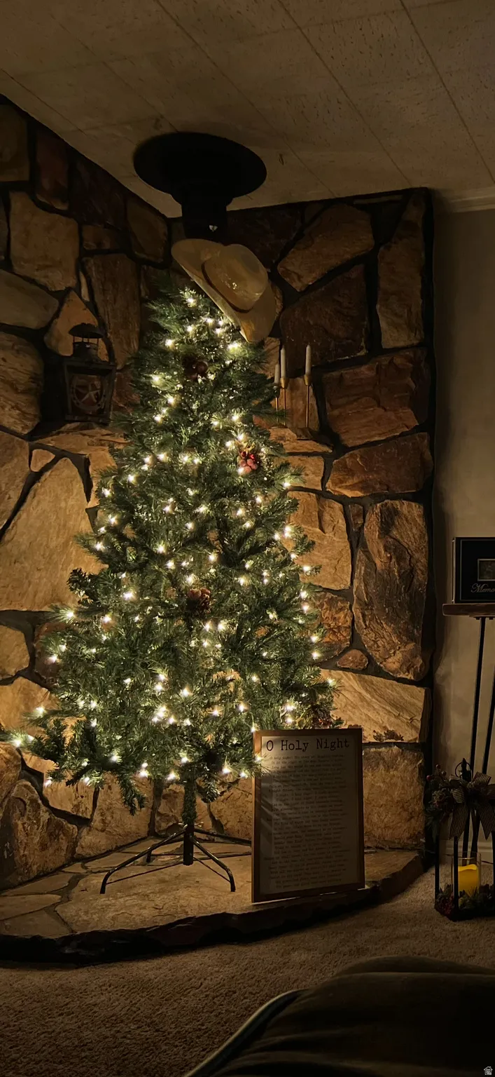 Stone wall where wood stove use to be.  This is an idea the seller had for using the space.  They also had it as a reading corner for their kids.