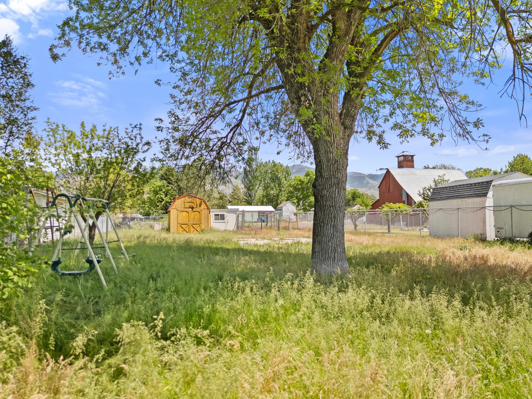 Expansive rear yard featuring mature trees, a white shed/chicken coop, and fencing with gates for animals if needed.