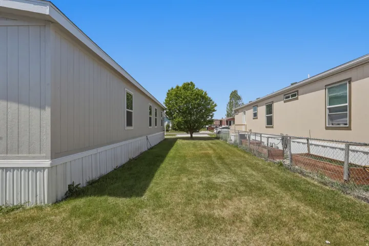 Expansive grassy yard with mature tree