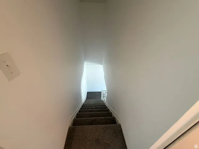 Staircase featuring dark carpeted steps, white risers, and a white handrail
