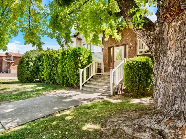 Brick facade entrance featuring a white door with glass paneling, concrete steps with white railings, mature shade trees, and manicured shrubbery