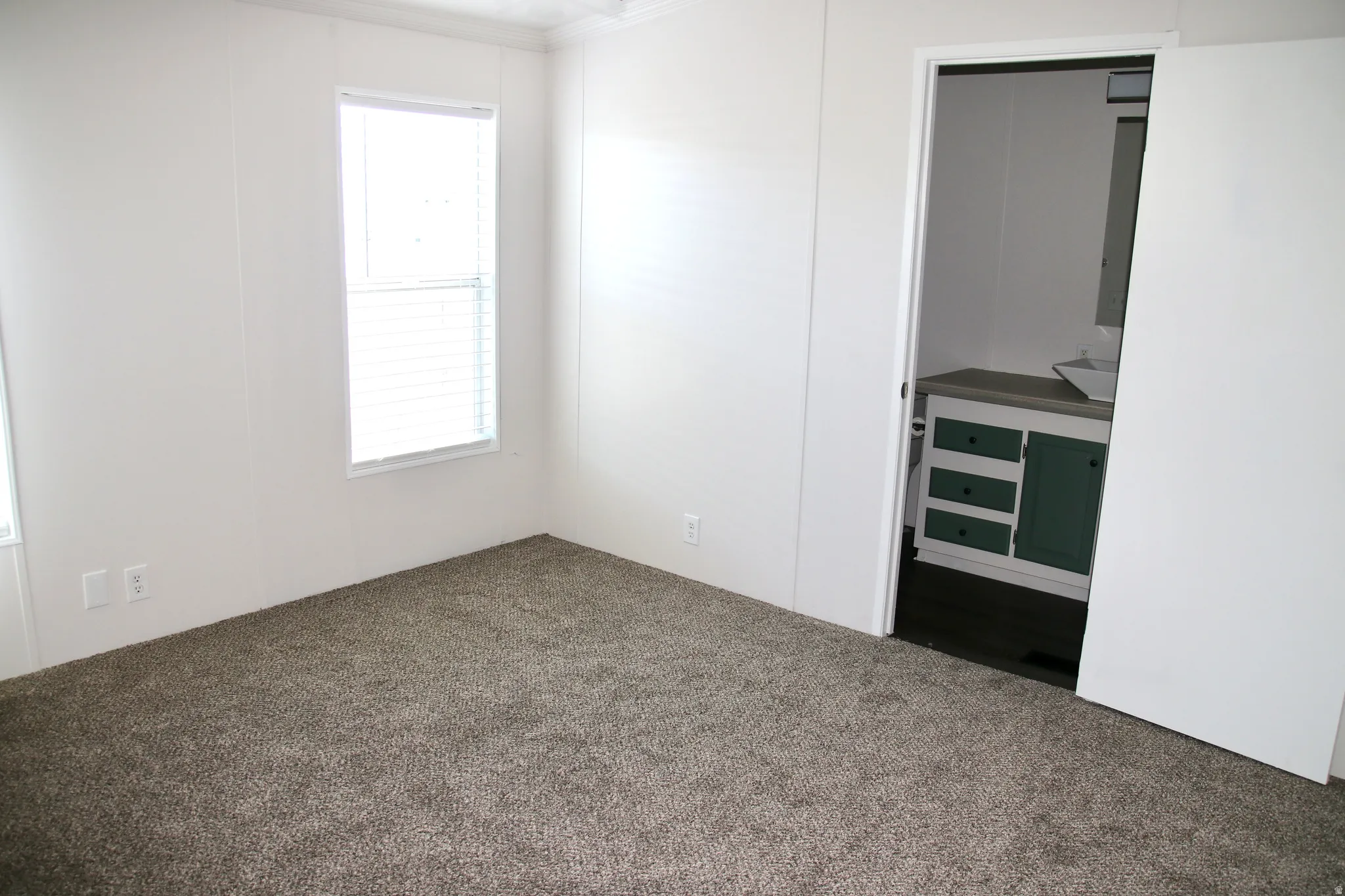 Primary Bedroom Plush carpeting, bright white walls, and a window with blinds