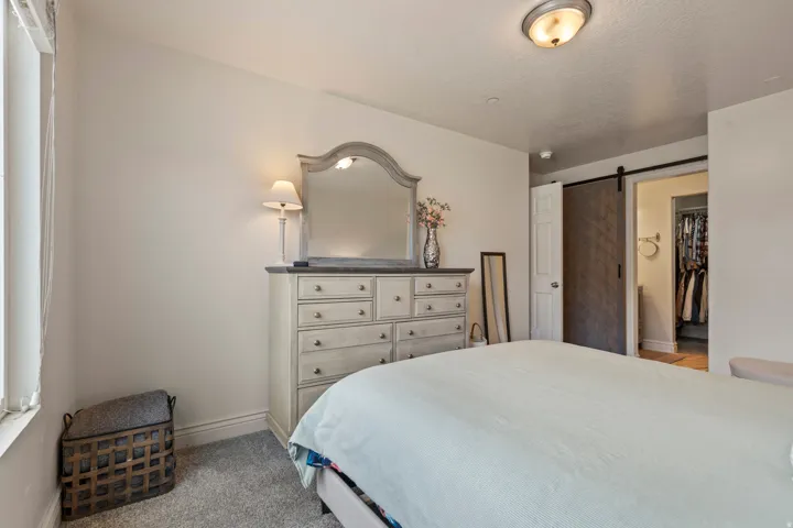 Plush carpeted bedroom with a window, ceiling-mounted light fixture, and a dark wood barn door