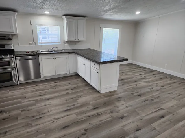 Kitchen featuring light wood-finish flooring, white cabinetry, dark speckled countertops, and stainless steel appliances