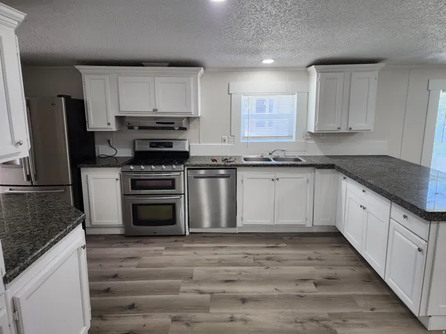 Kitchen featuring white cabinetry, dark speckled countertops, stainless steel appliances, wood-finish flooring, and a double basin sink