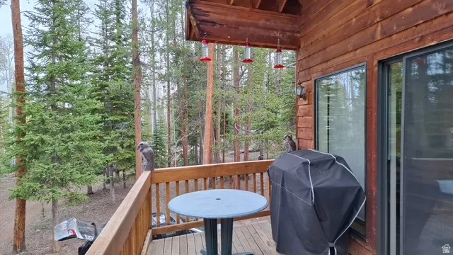 Spacious outdoor deck with natural wood railing, surrounded by mature evergreen trees