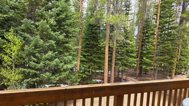 Wood deck with balusters overlooking a dense forest of mature pine trees
