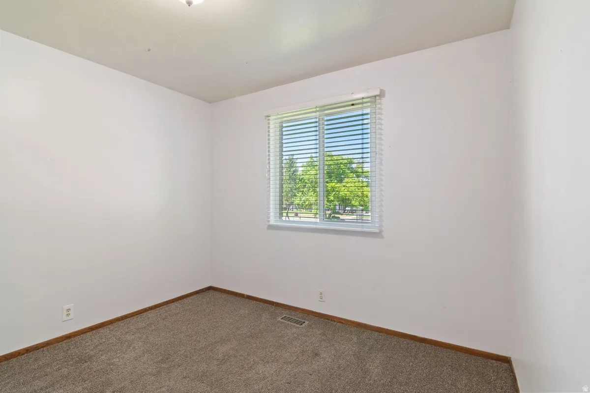 Neutral wall finishes with a window offering exterior views, complemented by a ceiling-mounted light fixture, carpeting, and baseboard trim