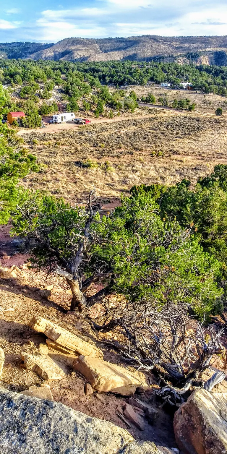 Beautiful 10 Acre Lot with trees and boulders!