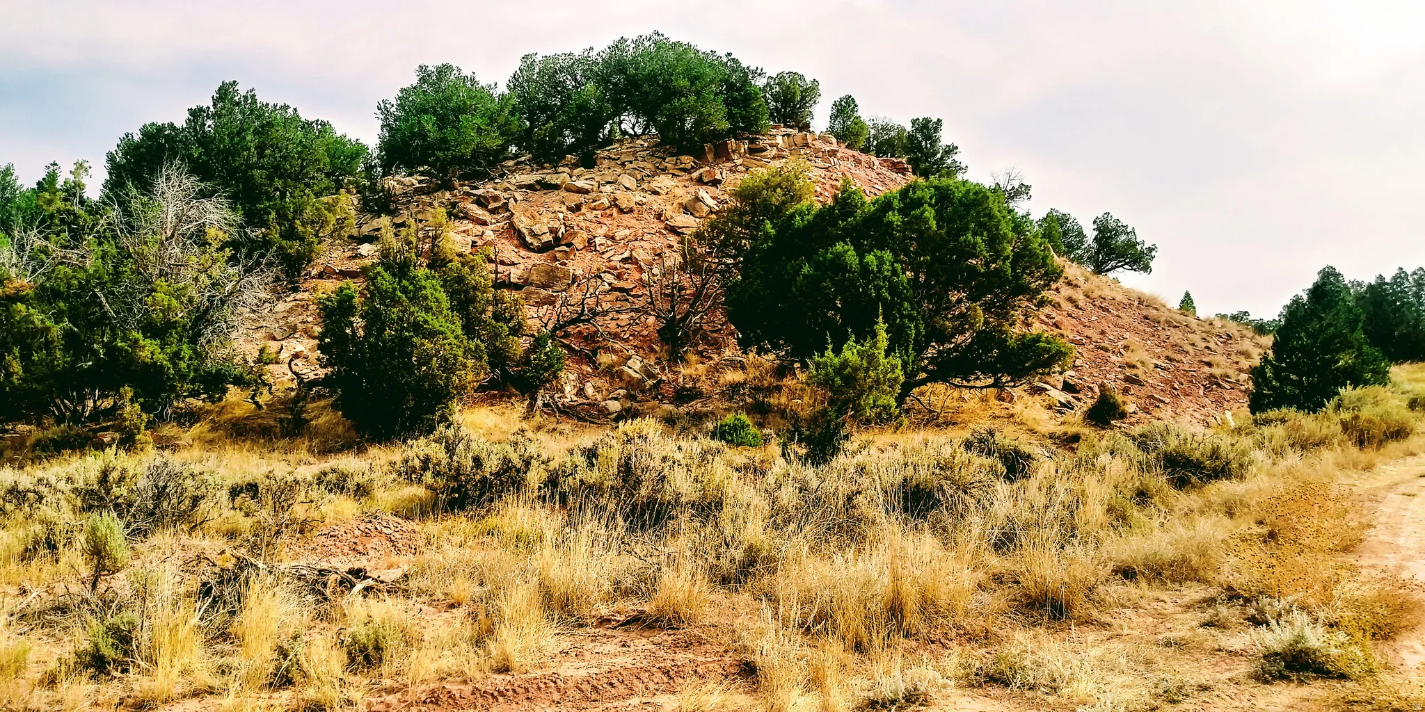 Beautiful 10 Acre Lot with trees and boulders!