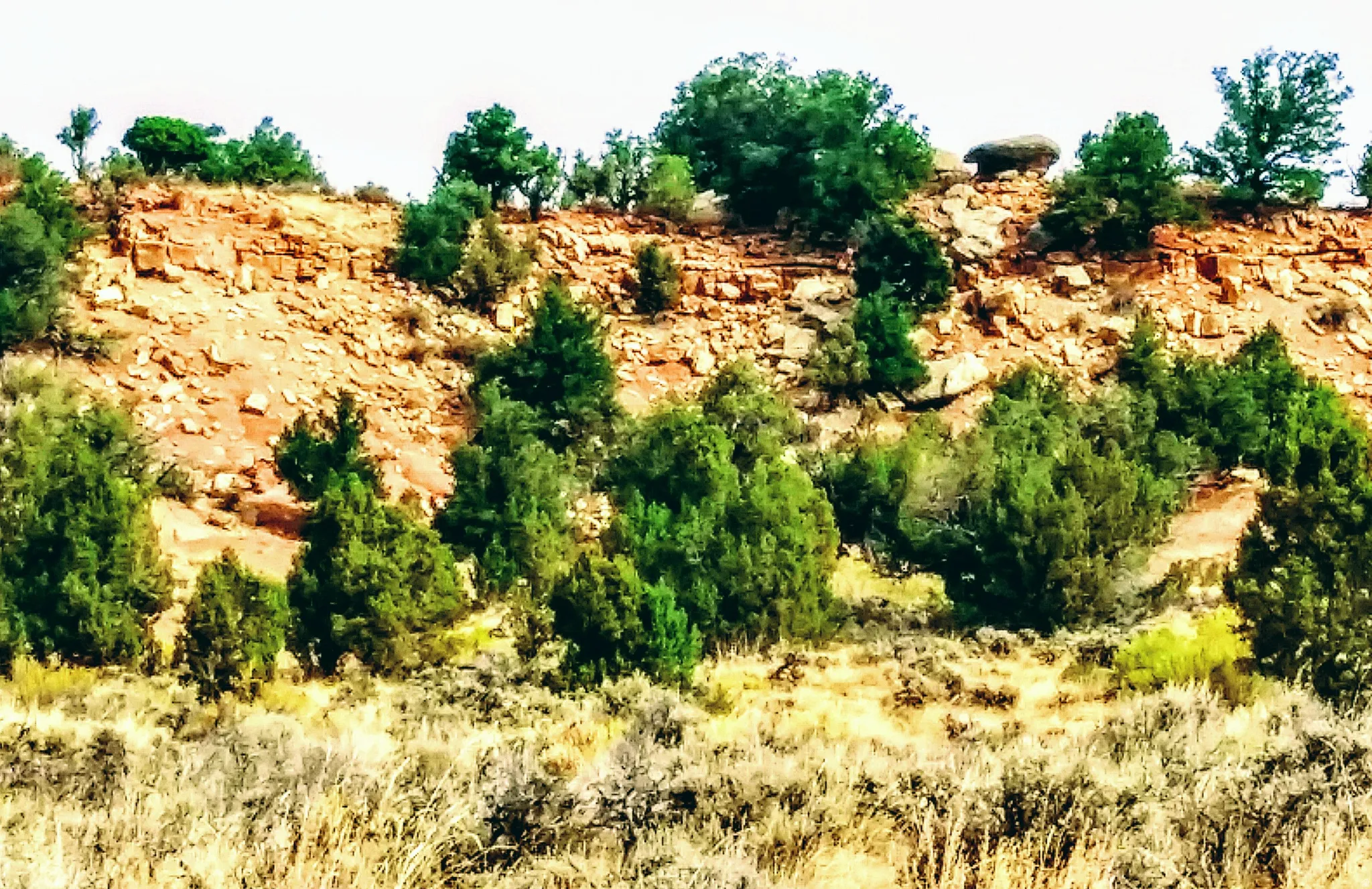 Beautiful 10 Acre Lot with trees and boulders!