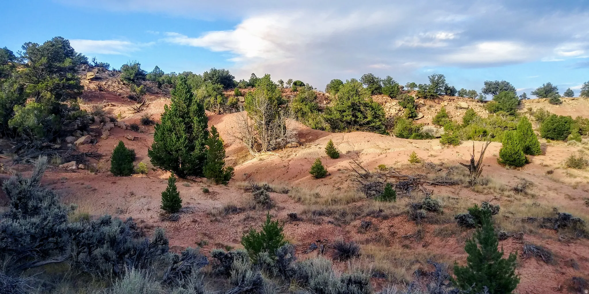 Beautiful 10 Acre Lot with trees and boulders!