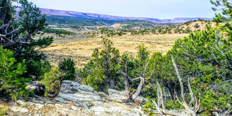Beautiful 10 Acre Lot with trees and boulders!