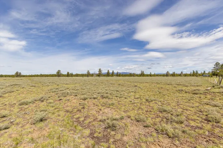 Expansive open land featuring natural vegetation and scattered evergreen trees