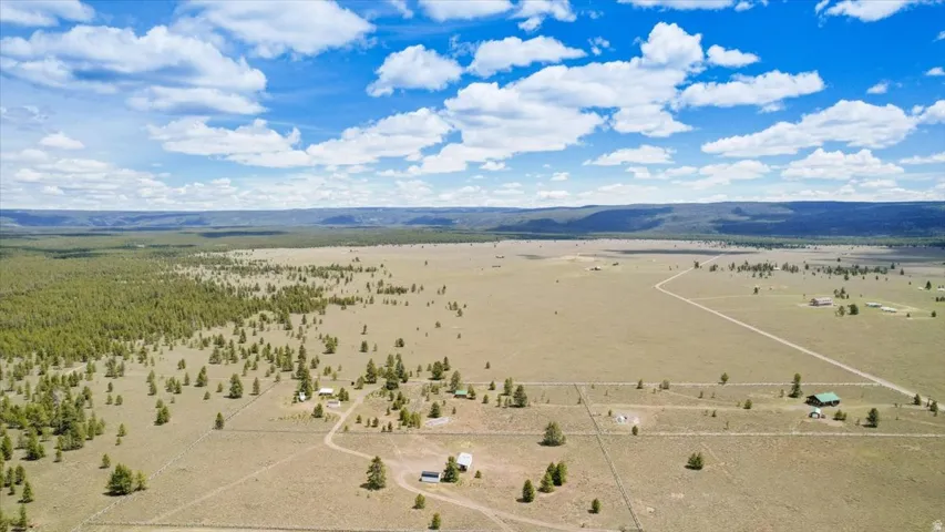 Expansive rural landscape featuring a mix of open terrain and scattered evergreen trees