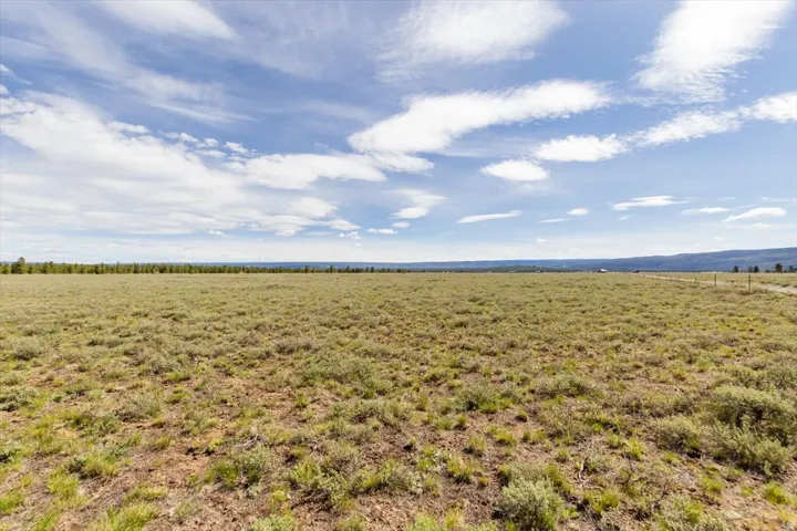 Expansive open land featuring natural vegetation and distant tree lines under a vast sky