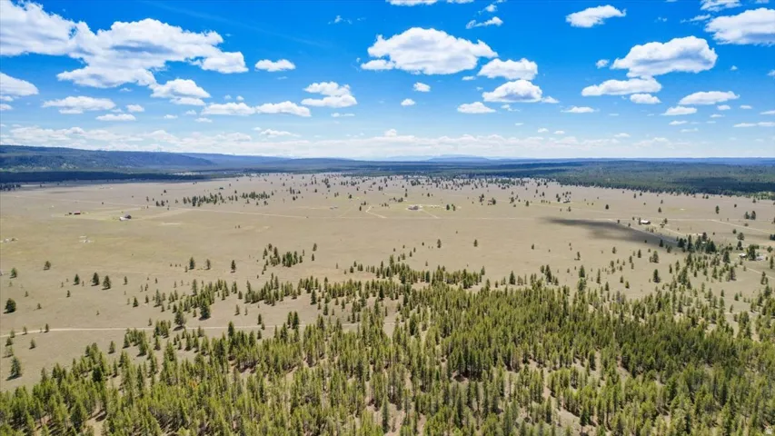 Expansive rural acreage featuring diverse topography including open fields and substantial tree coverage