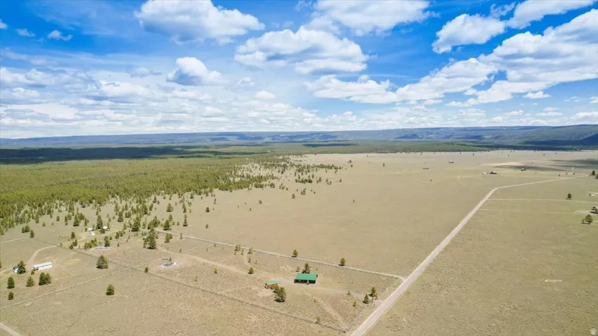 Expansive rural landscape featuring a mix of open grasslands and scattered evergreen trees