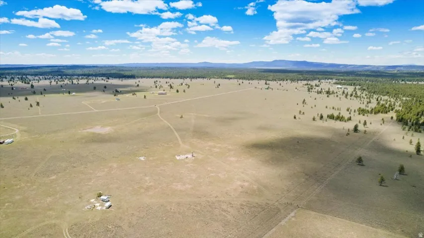 Expansive, undeveloped parcel featuring varied topography, scattered evergreen trees, and distant mountain ranges
