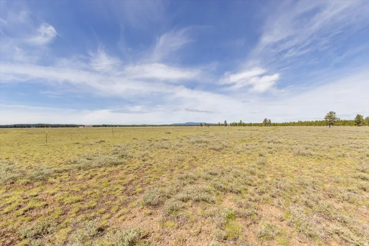 Expansive open terrain with natural vegetation, distant tree line, and clear blue sky with scattered clouds