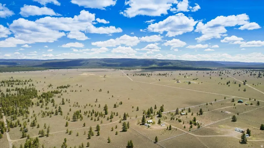 Expansive land offering diverse topography, featuring large clearings and scattered evergreen trees
