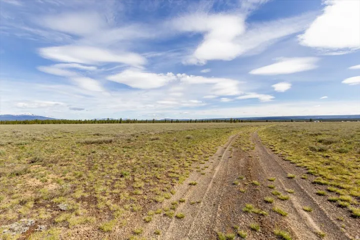 Expansive undeveloped land featuring a clear sky, distant mountain range, and a visible track through natural vegetation