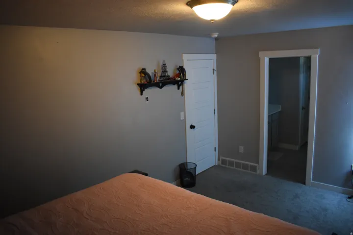 Carpeted room featuring a ceiling-mounted light fixture, neutral-toned walls, and white trim