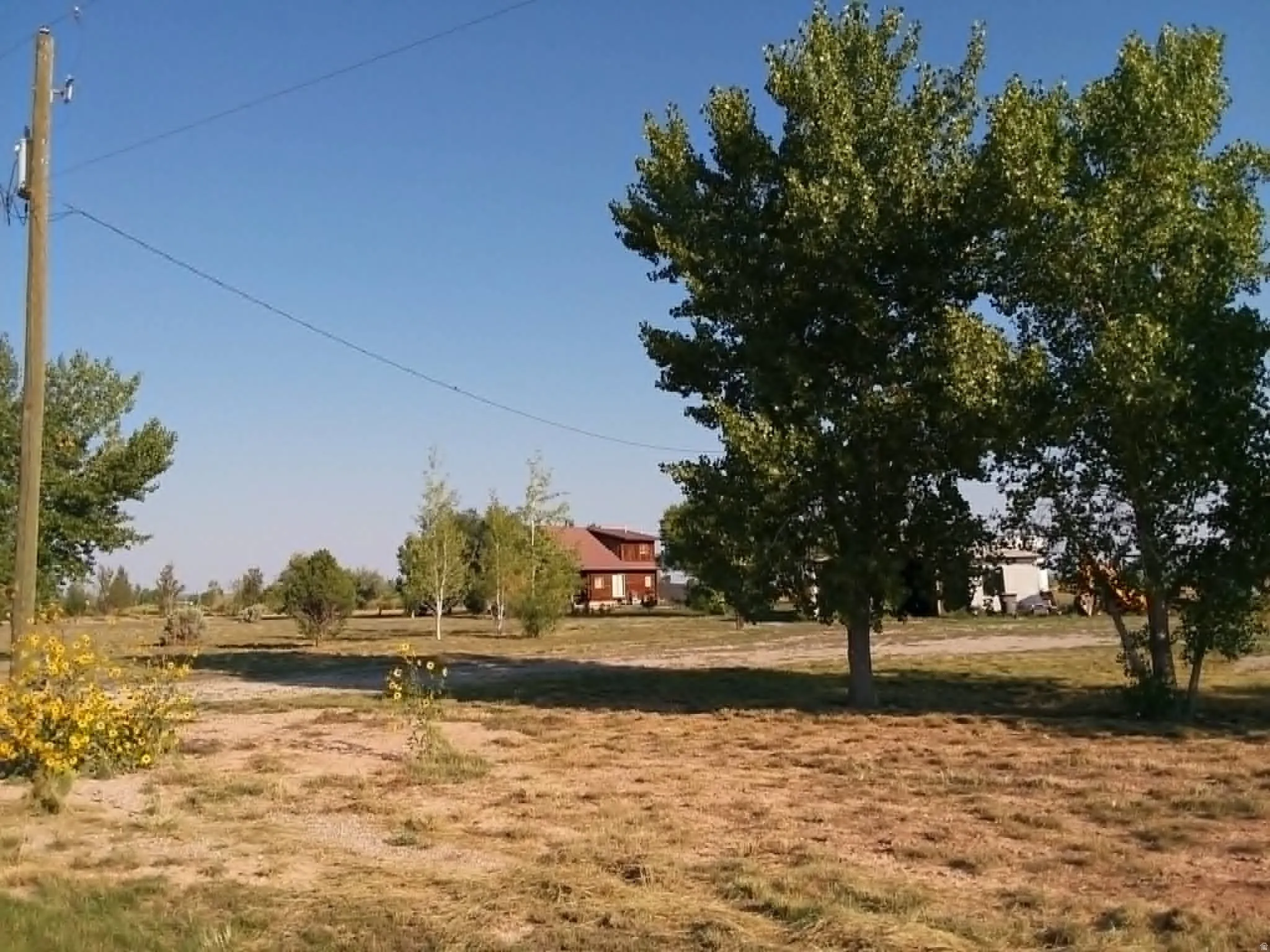 Expansive lot with mature trees and natural landscaping