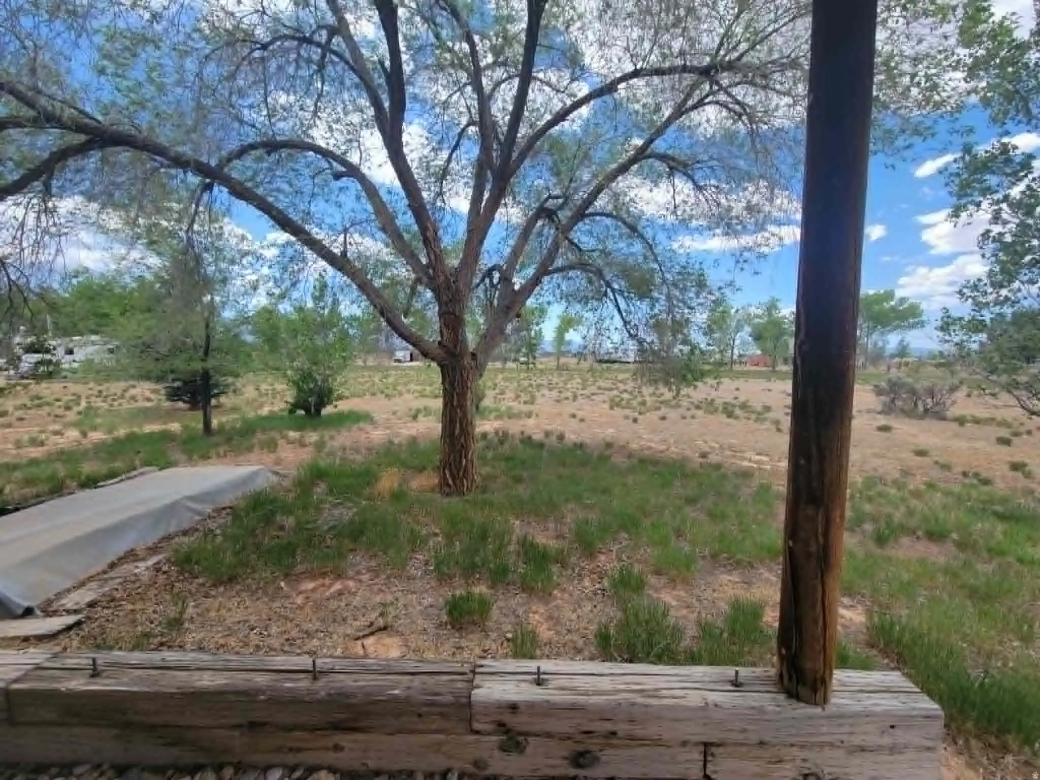 Wood retaining wall with exposed rebar, framing a natural landscape with a prominent tree and scattered greenery