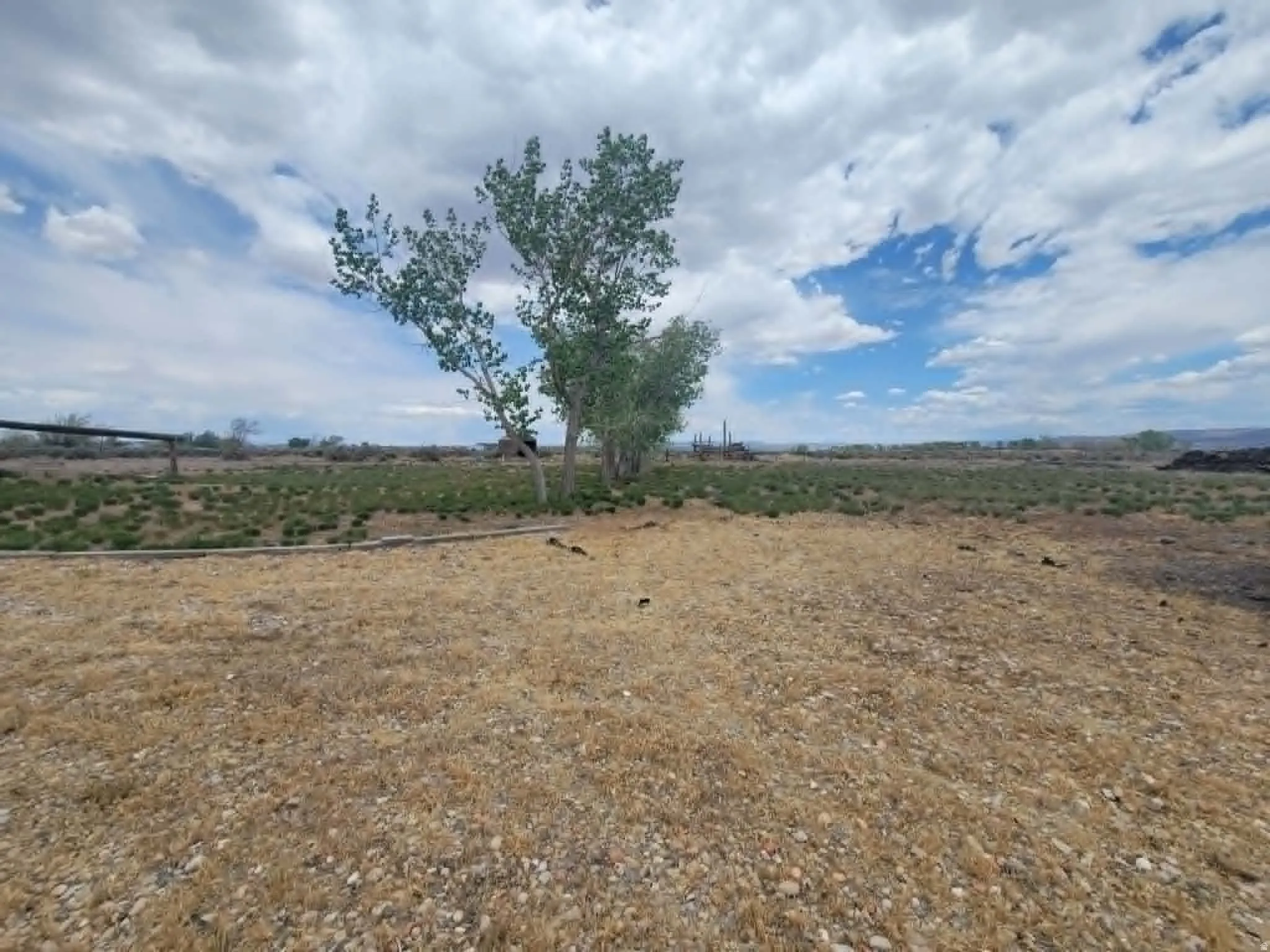 Expansive undeveloped lot with natural ground cover and a distant fence line