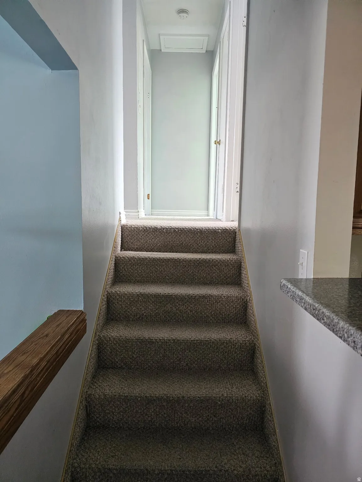 Carpeted staircase with a wood handrail leading to a light blue hallway with white trim and interior doors