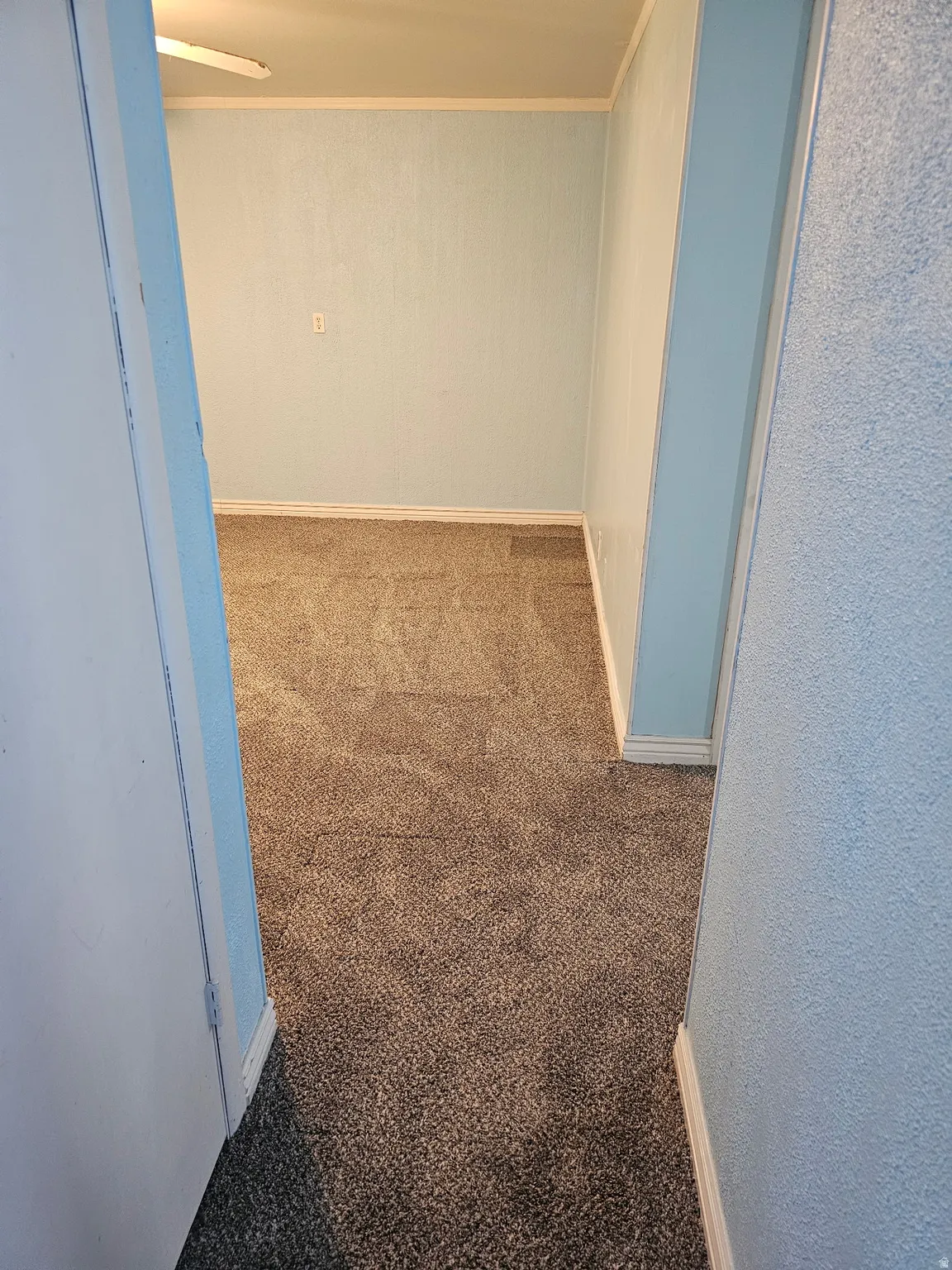 Carpeted interior area featuring light blue wall paint, white baseboards, white crown molding, and a ceiling fan