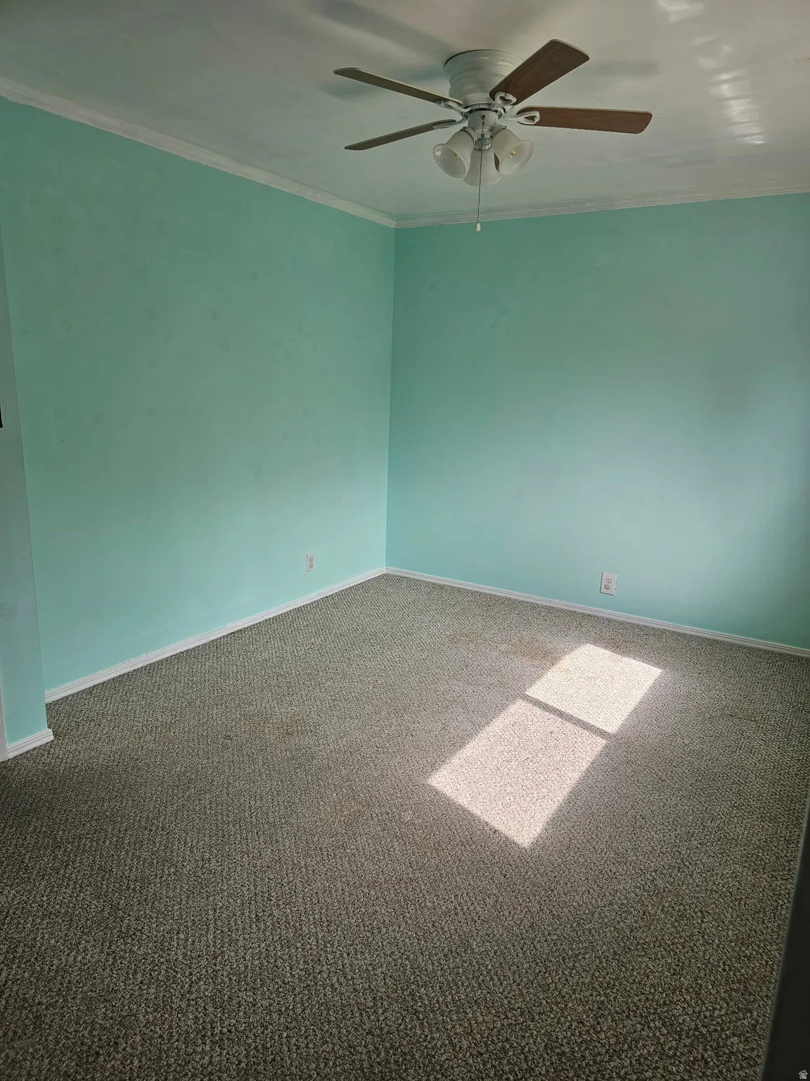 Spacious room featuring textured carpeting, light teal walls, white crown molding, and a ceiling fan with integrated lighting