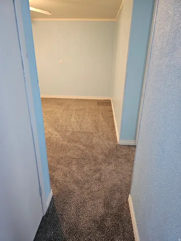 Carpeted interior area featuring light blue wall paint, white baseboards, white crown molding, and a ceiling fan