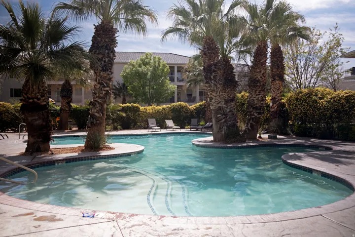 Resort-style pool featuring an irregular shape, integrated islands with mature palm trees, tile detailing along the waterline, and multiple entry points with steps