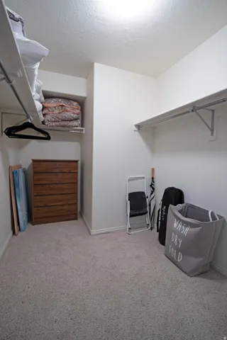 Spacious primary bedroom walk-in closet featuring light-colored carpeting, multiple shelving units, and clothing rods