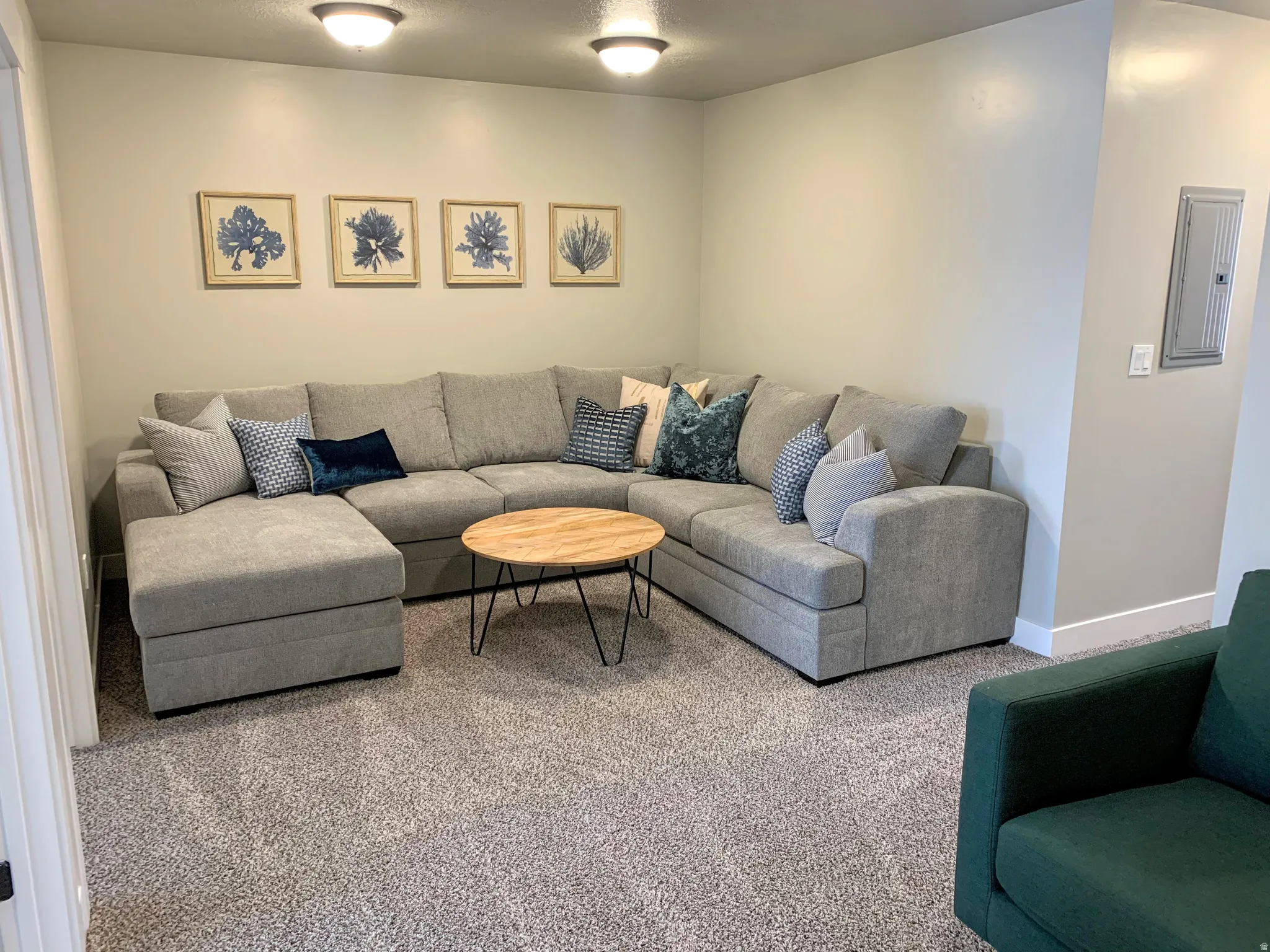 Carpeted room featuring light gray wall paint and white baseboards