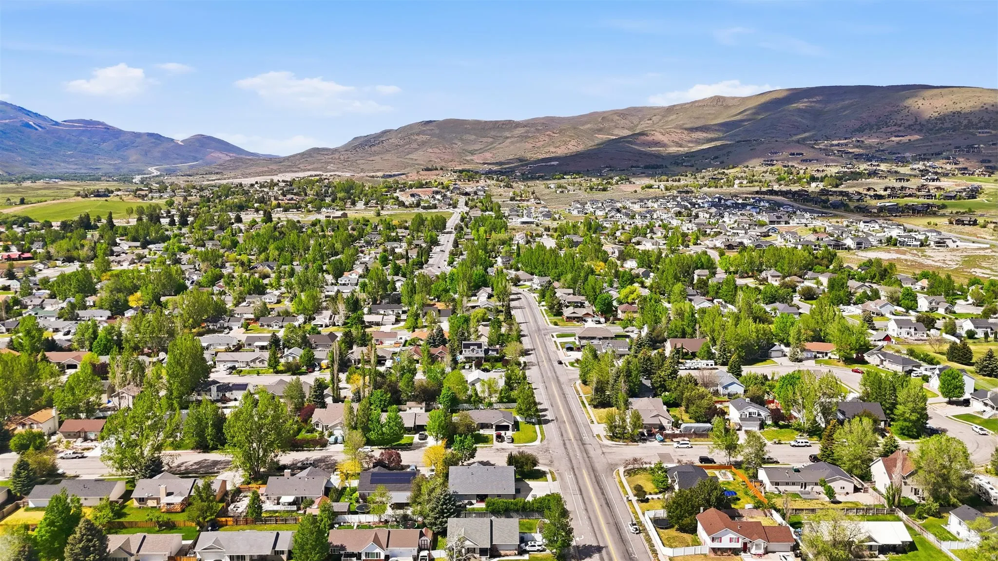 Aerial perspective showcasing a residential community with mature tree coverage