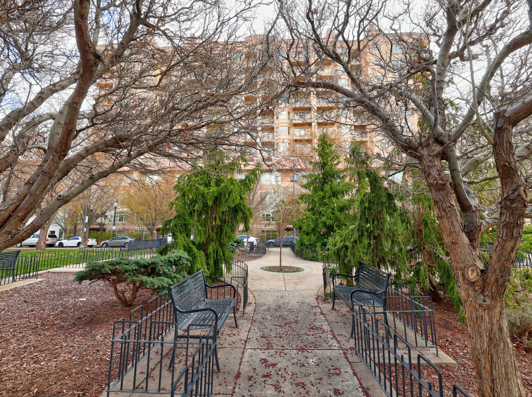 Landscaped exterior featuring mature deciduous trees and evergreen plantings