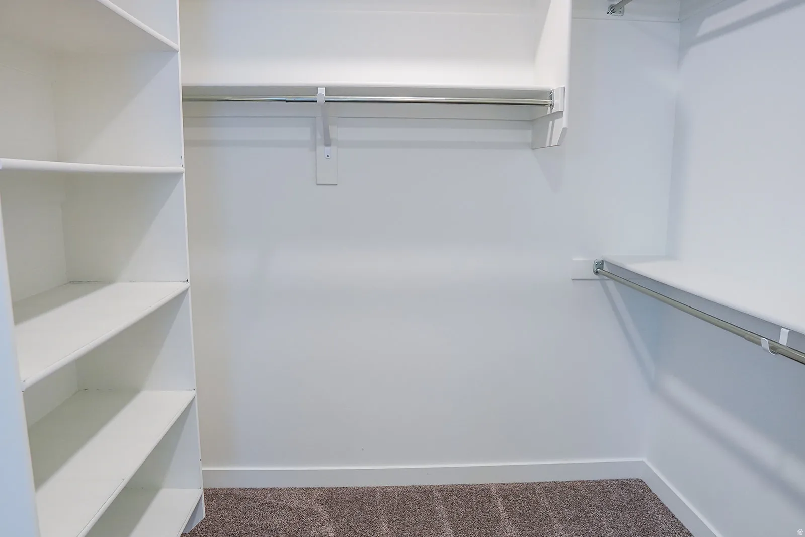 Walk-in closet featuring white built-in shelving, white walls, and a carpeted floor