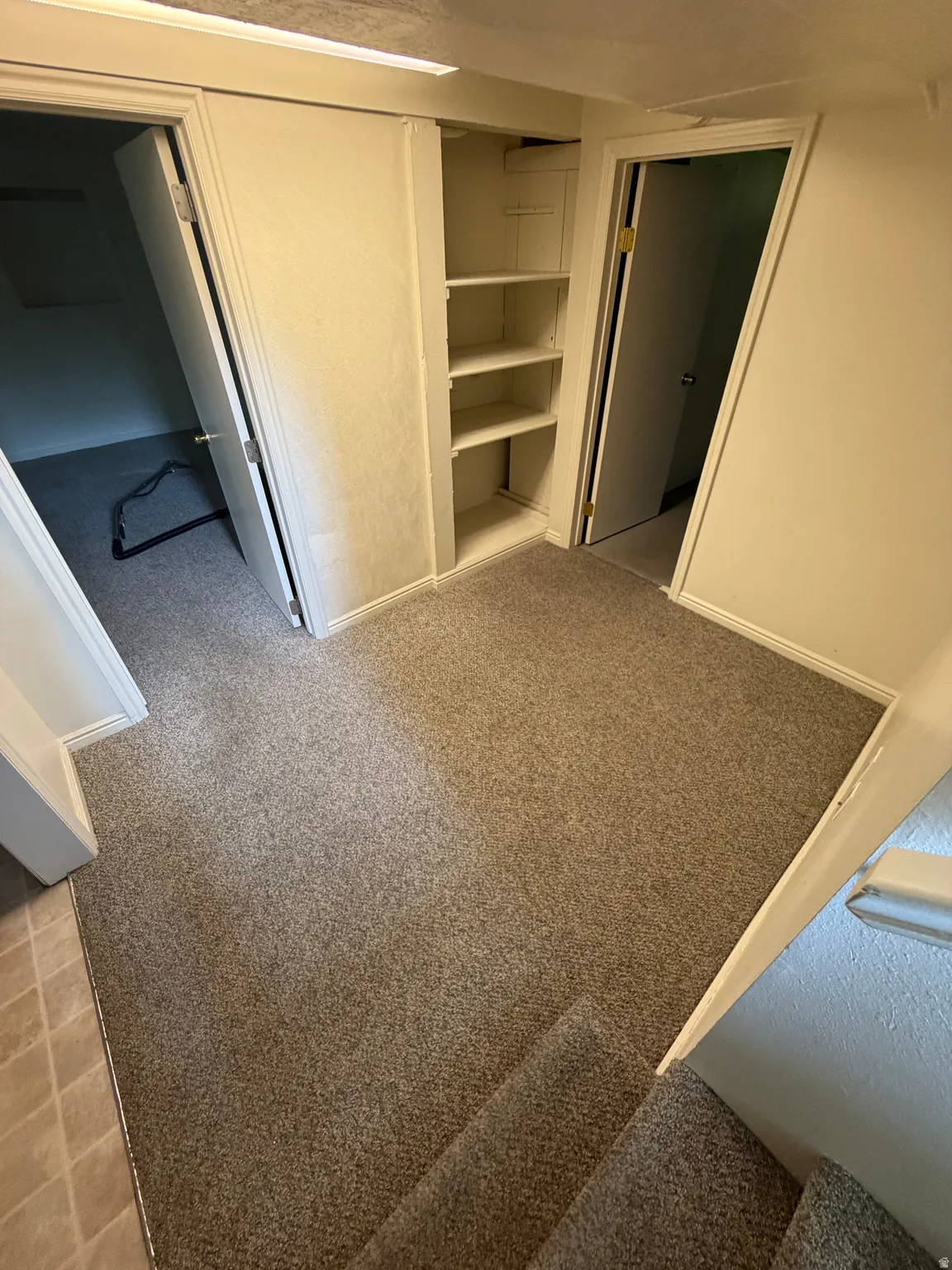 Carpeted floor area featuring built-in shelving, two interior doors, and a staircase with matching carpet