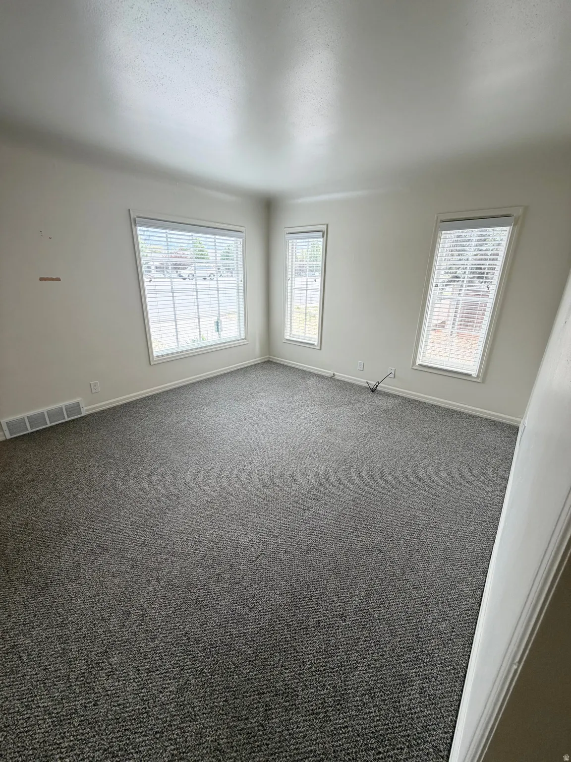 Spacious room featuring neutral carpeting, multiple windows with blinds, a baseboard heating vent, and light-toned walls