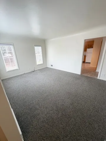 Spacious room featuring neutral paint, gray speckled carpet, and two windows with blinds