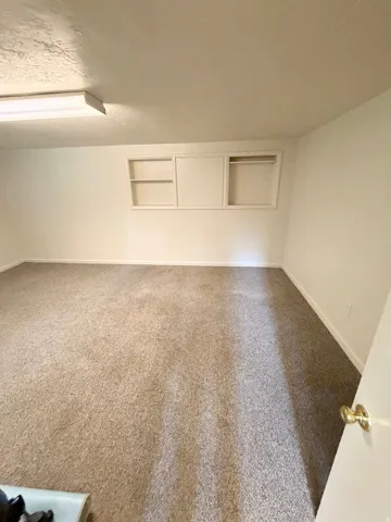Plush carpeting in a neutral tone, overhead fluorescent lighting, built-in shelving, and a wall-mounted storage cabinet