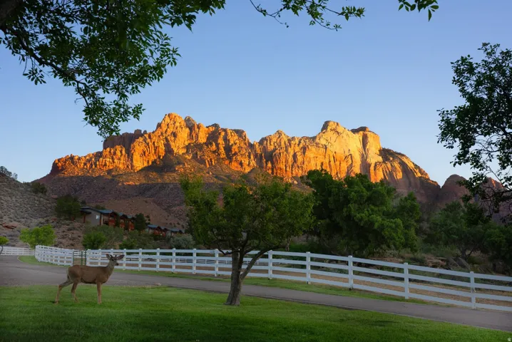 2428 Zion Park Bvld Hwy, Springdale, Utah 84767