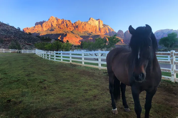 2428 Zion Park Bvld Hwy, Springdale, Utah 84767