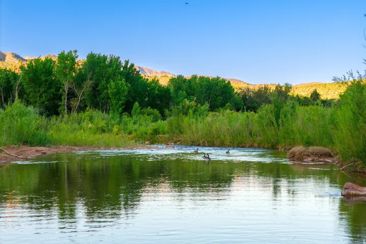 2428 Zion Park Bvld Hwy, Springdale, Utah 84767