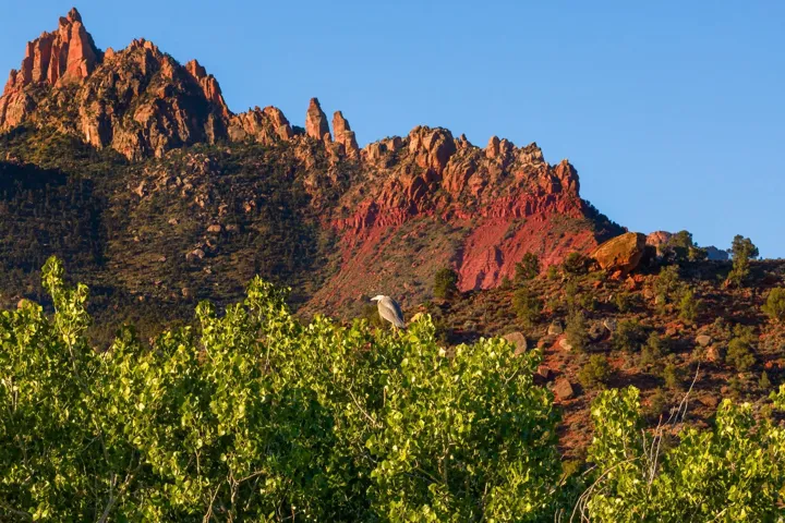 2428 Zion Park Bvld Hwy, Springdale, Utah 84767