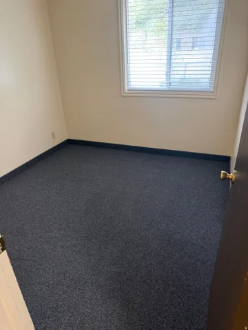 Room with neutral wall paint and dark carpet flooring